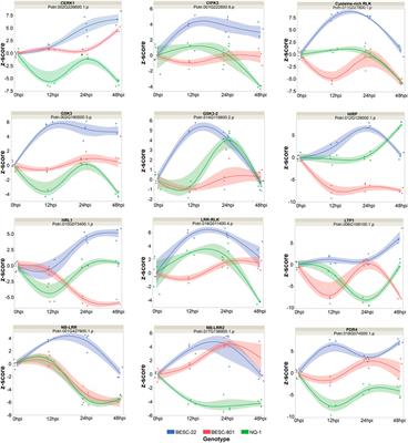 Proteomics reveals pathways linked to septoria canker resistance and susceptibility in Populus trichocarpa